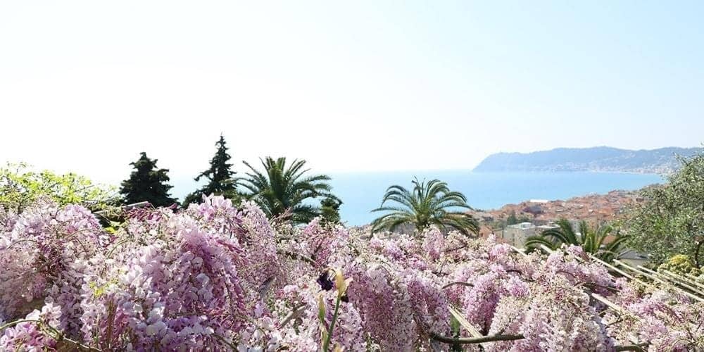 Primavera in Italia: ecco cosa c'è da sapere